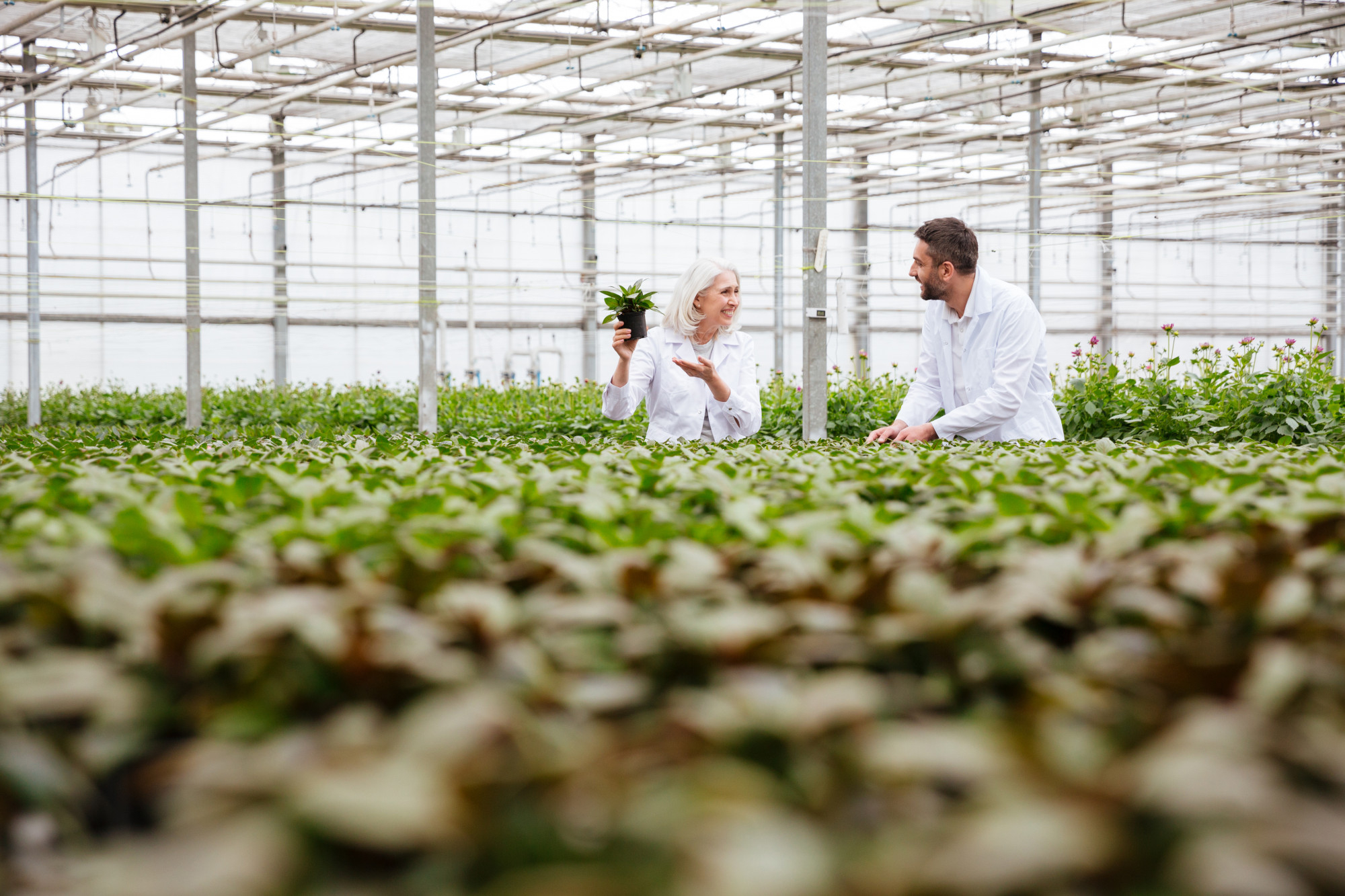 L&rsquo;impact des innovations sur l&rsquo;industrie agroalimentaire